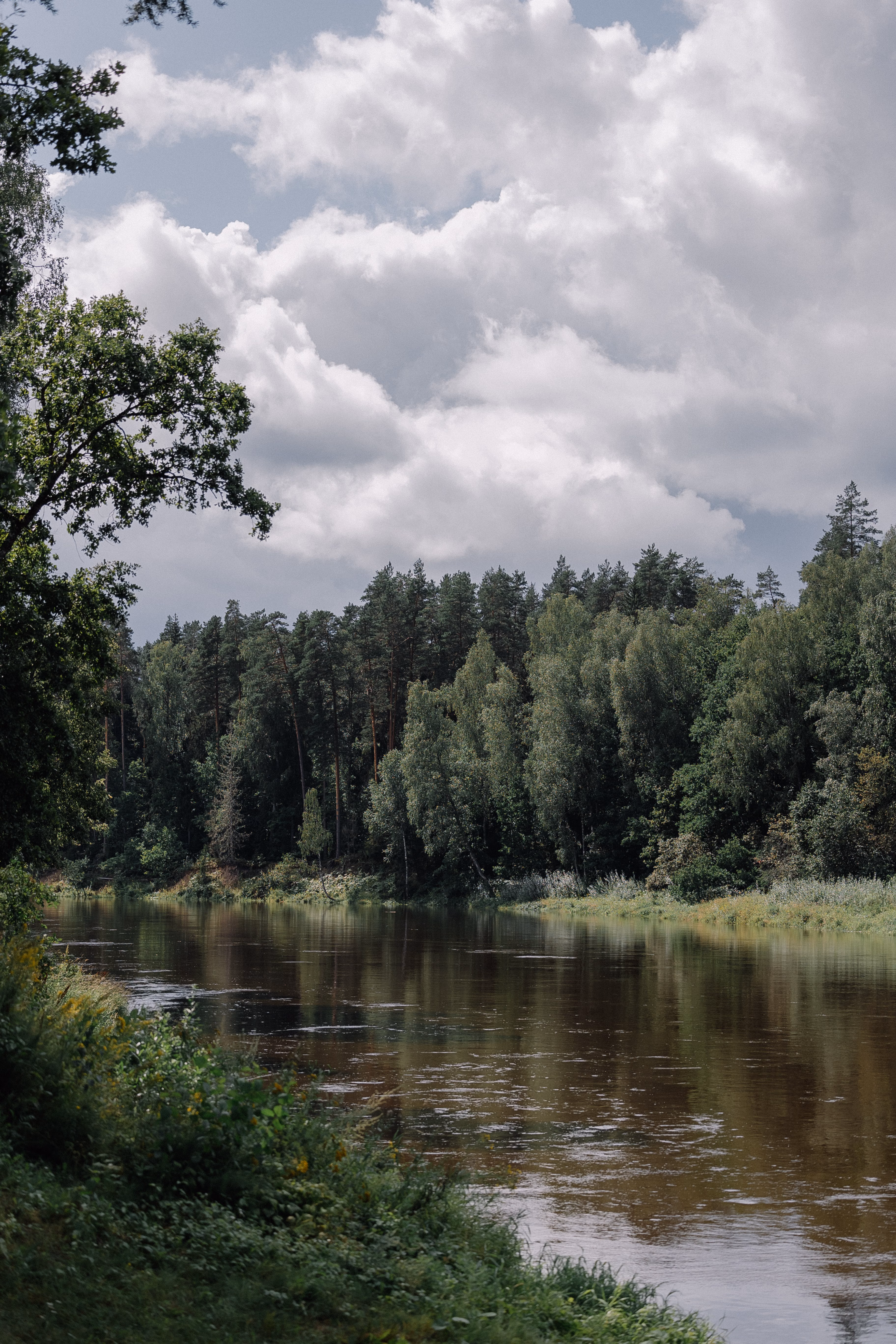 Is the Promise of Artificial Intelligence Living Up to the Environmental Hype?