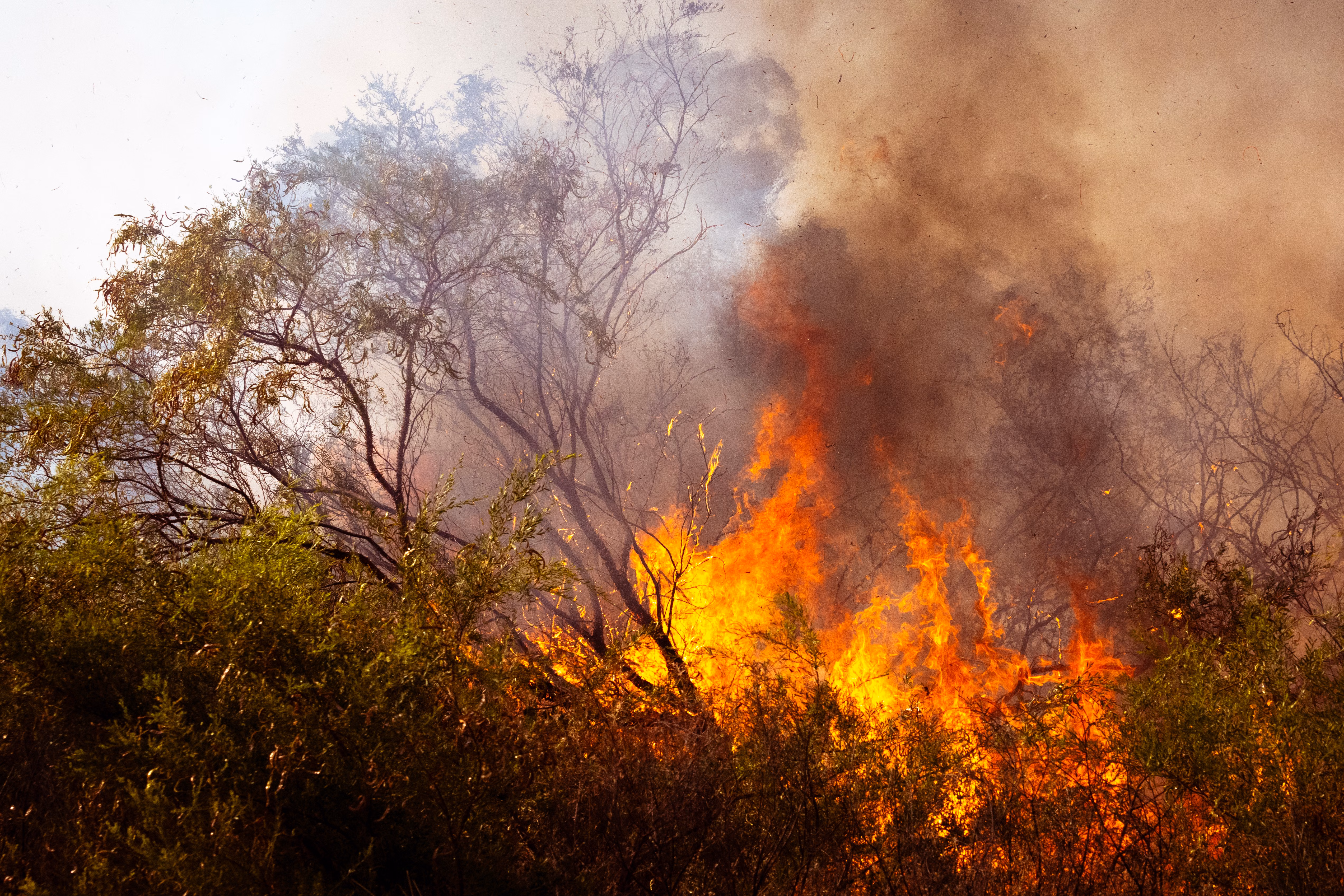 UK Extreme Heat Prompts Cobra Emergency Meeting Amid Wildfires and Drought
