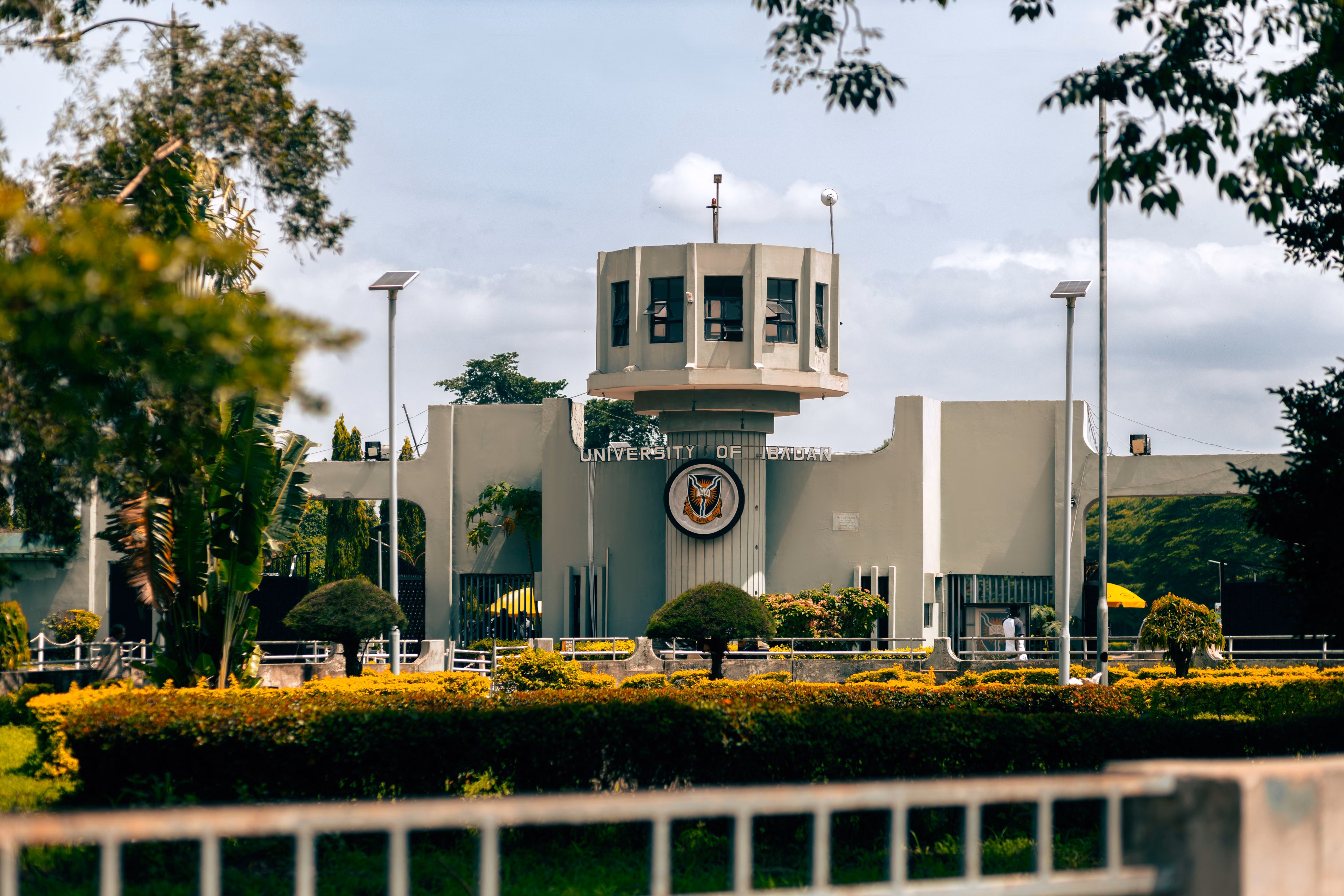 University of Ibadan Offers Distance Learning Places to Candidates Denied Conventional Admission