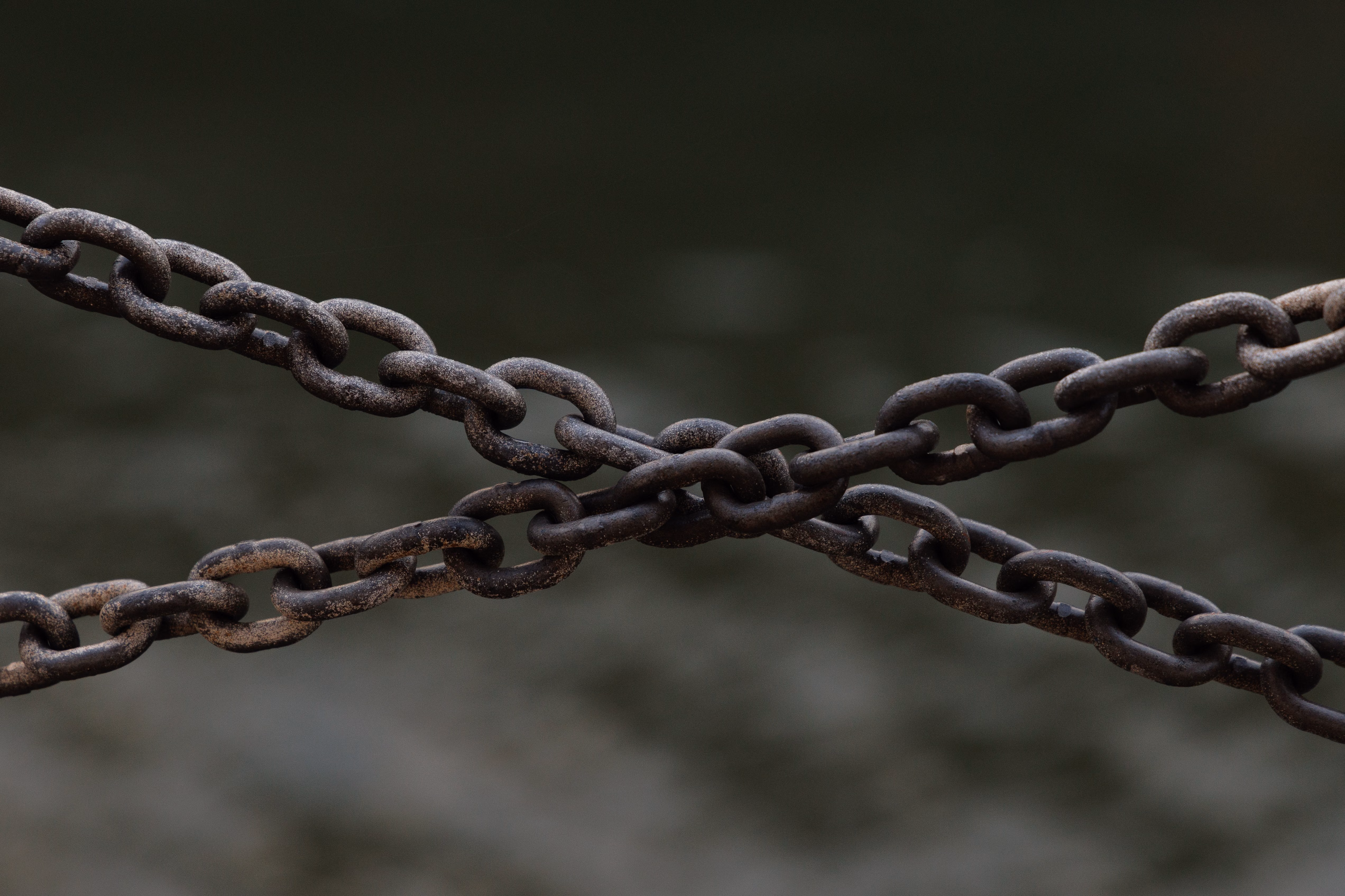 Signal Rolls Out Multi-Phone Support for Secure Messaging Across Devices
