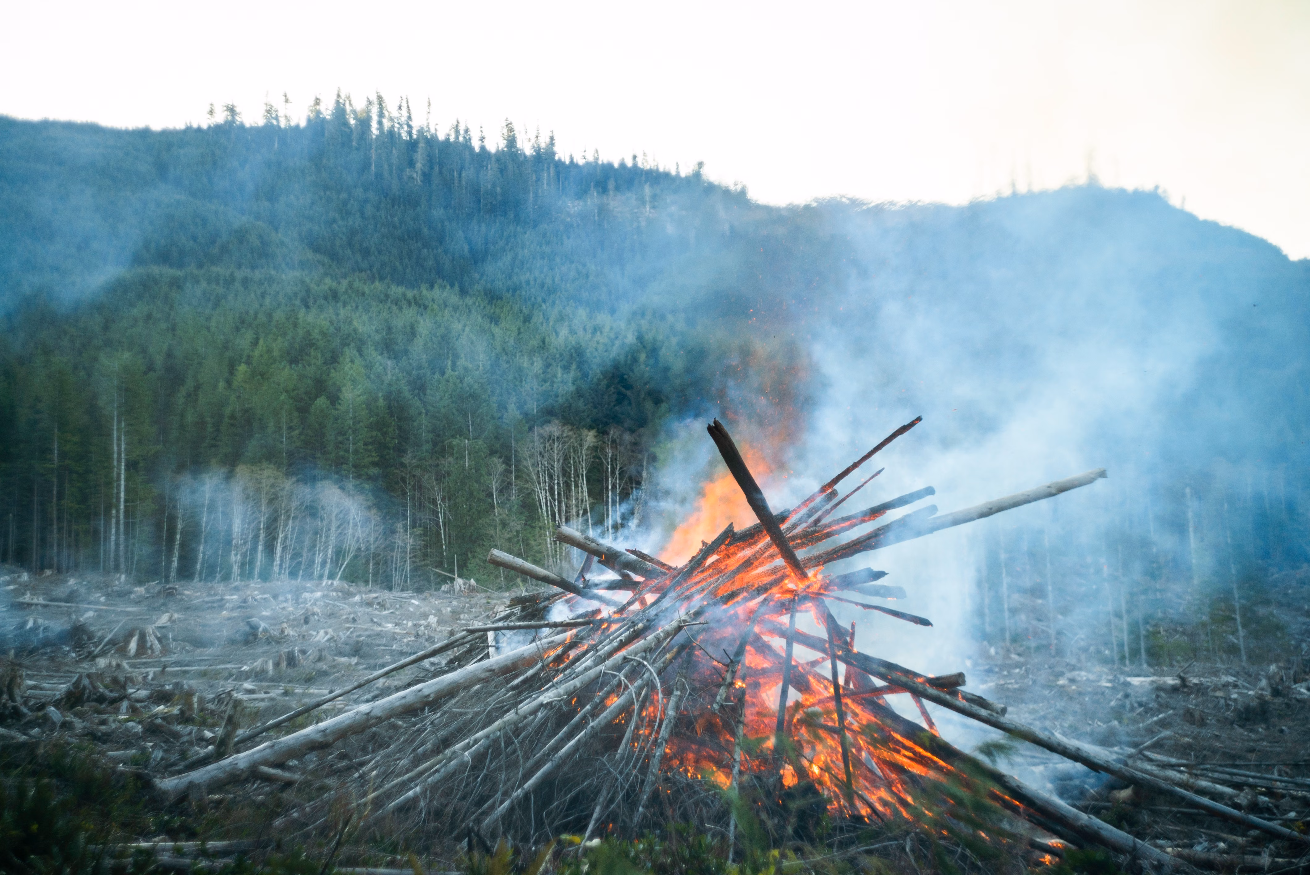 Climate Change Doubled Severity of Canadian Wildfires in NWT and Ontario, Study Finds