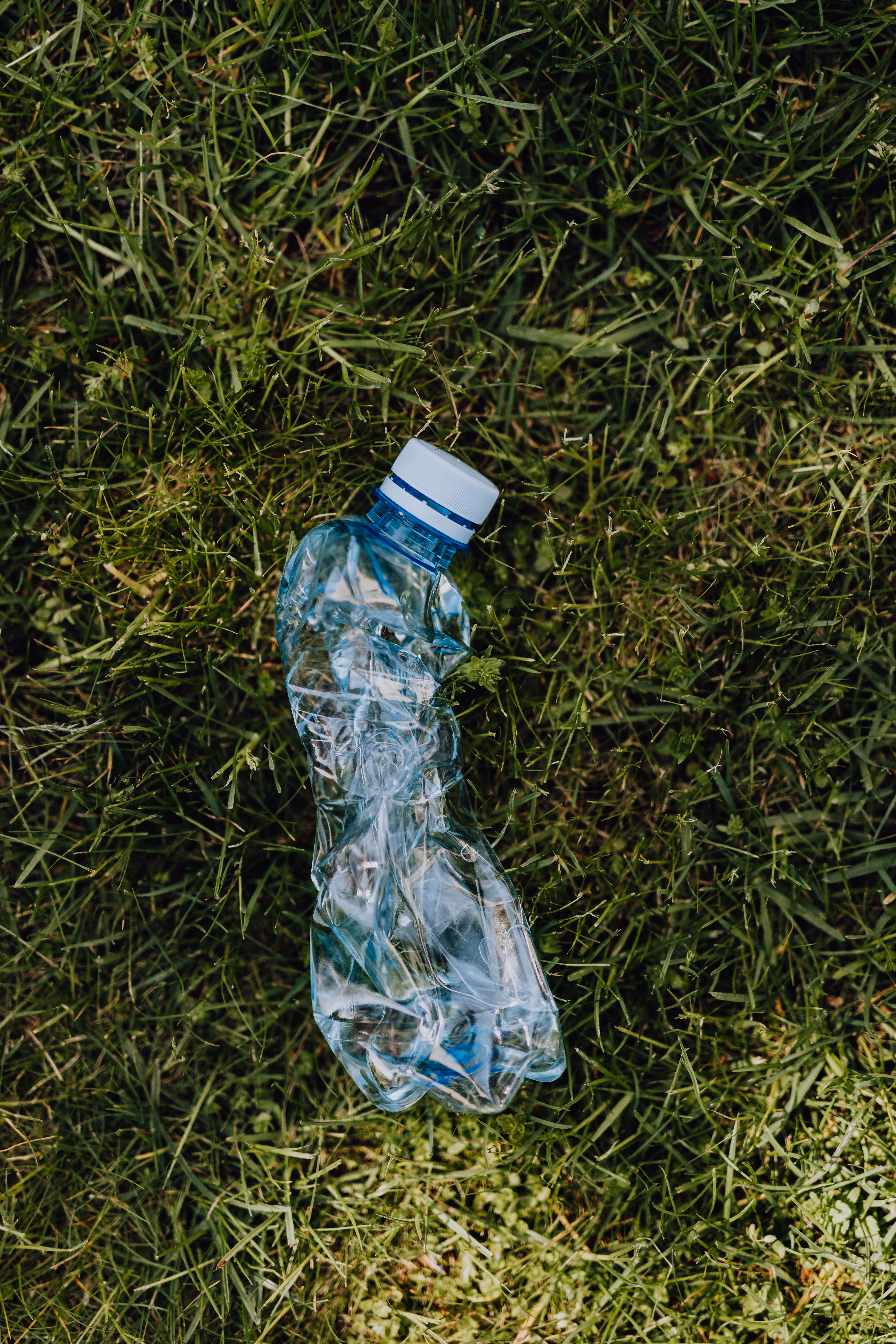 Plastics contamination an overlooked concern in food waste schemes, experts say